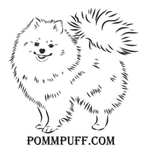 pomeranian breeders Toronto